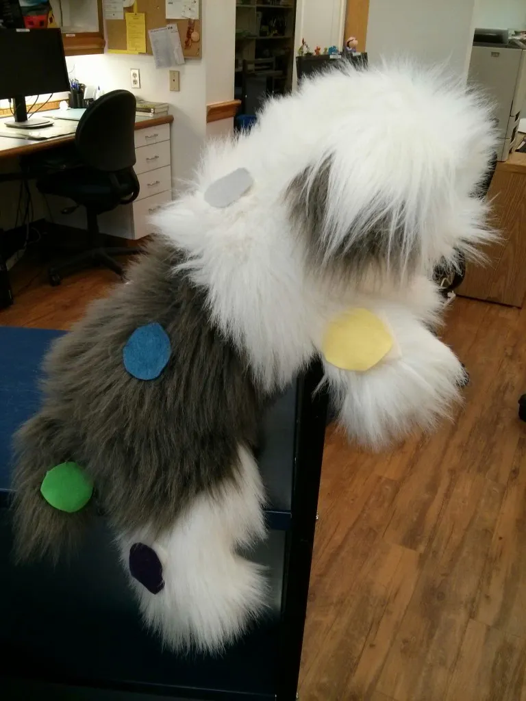 dog1