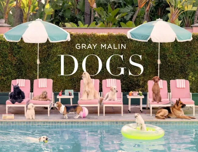 Dogs: Photographs Book by Gray Malin