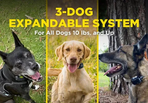 Dogtra 280X remote training collar, illustrating its 3-dog expandable capability