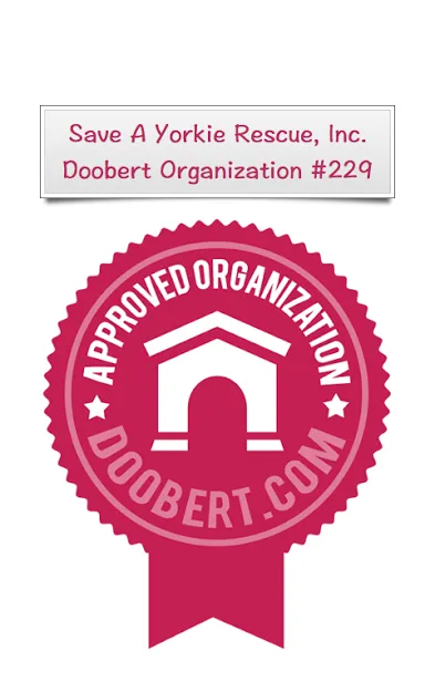 Doobert updated