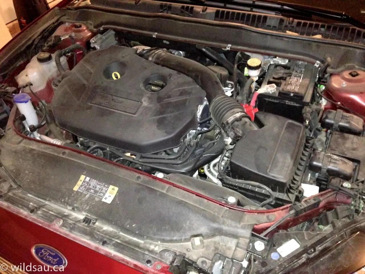 EcoBoost engine bay showing the turbocharged 2.0-liter 4-cylinder engine