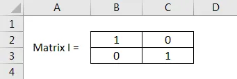 Entering the 2x2 Identity Matrix