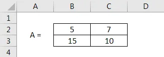 Entering the 2x2 Matrix in Excel