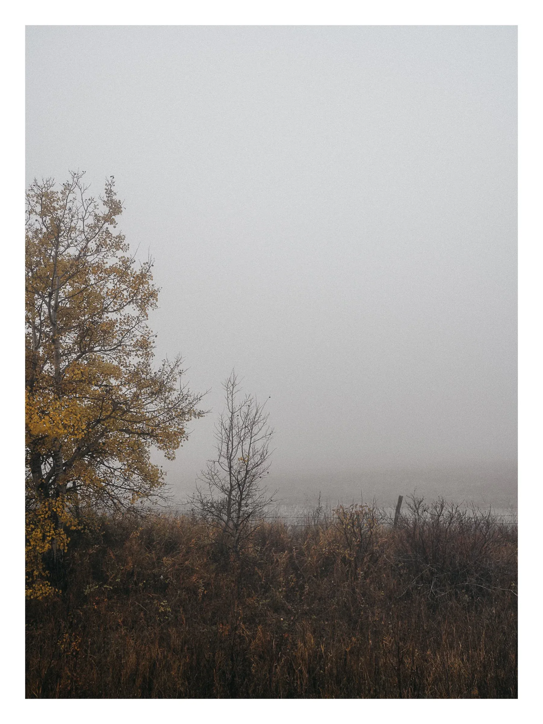 Example of a Vertical Slideshow on Instagram