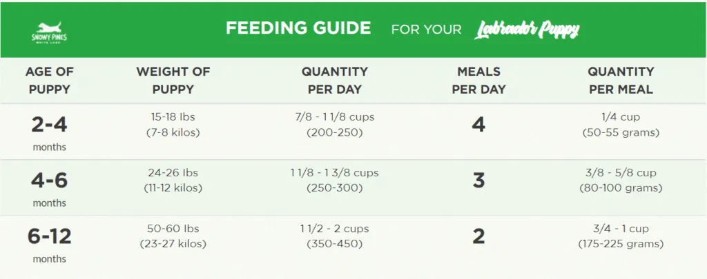 Feeding guide chart for Golden Retriever puppy