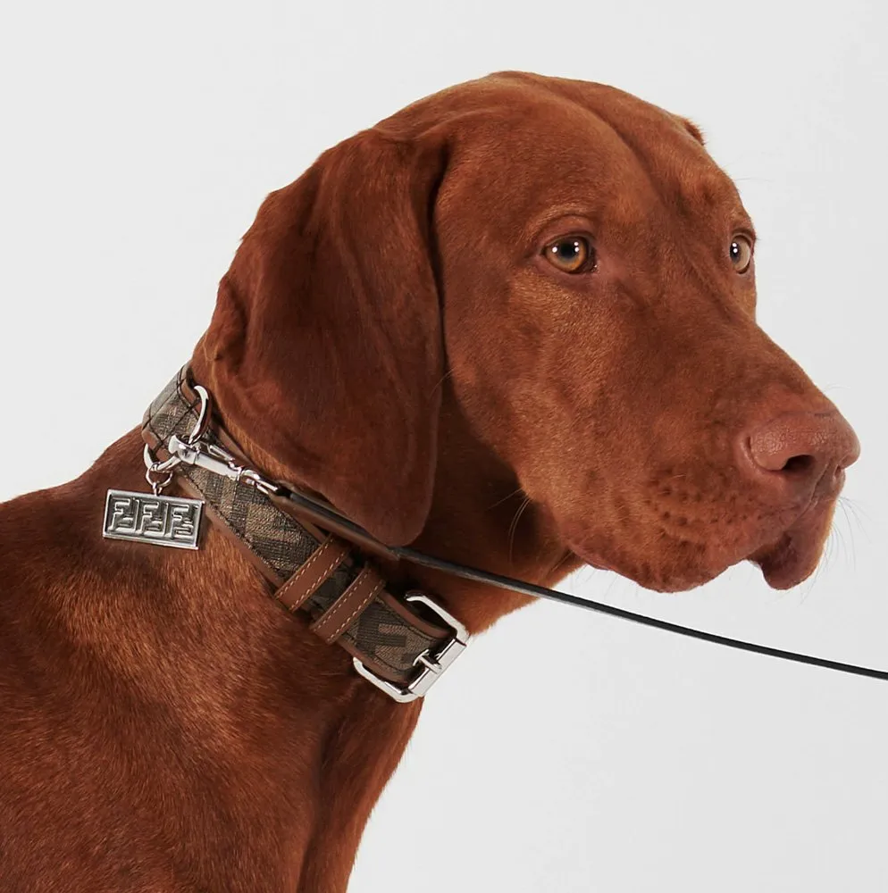 Fendi designer dog collar in signature FF motif
