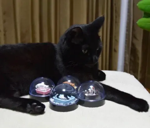 Final assembled cat litter snow globe in action