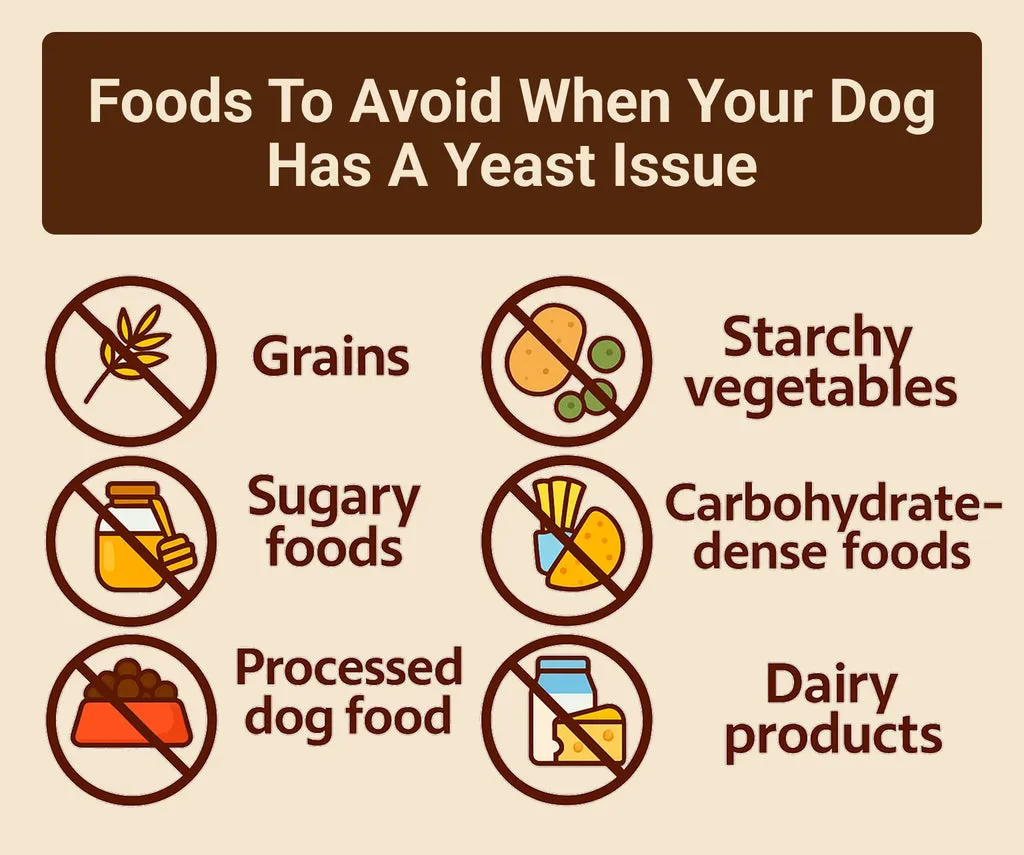 Foods to Avoid When Your Dog Has a Yeast Issue