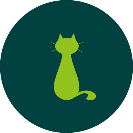 Geriatric cat illustrated in a circle
