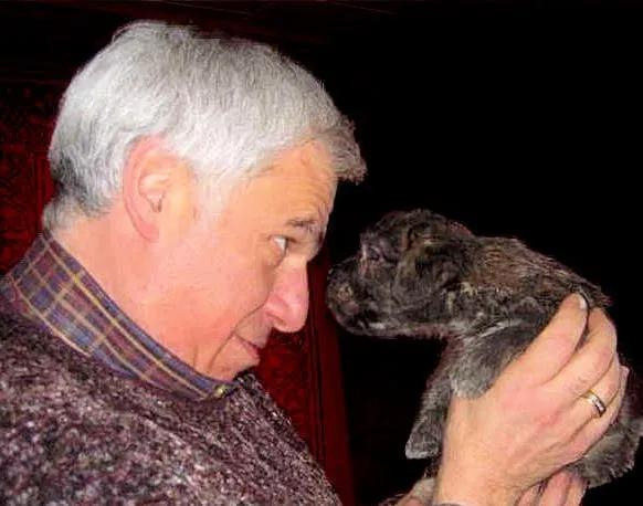 Glen of Imaal Terrier puppy at 10 weeks starting school socialization