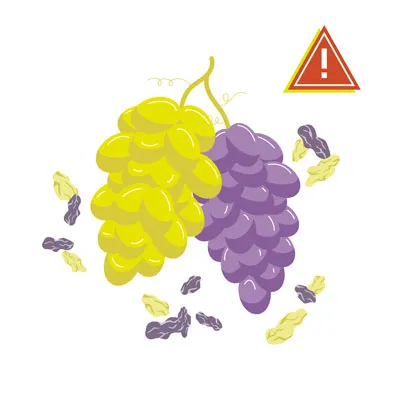 Grapes & Raisins