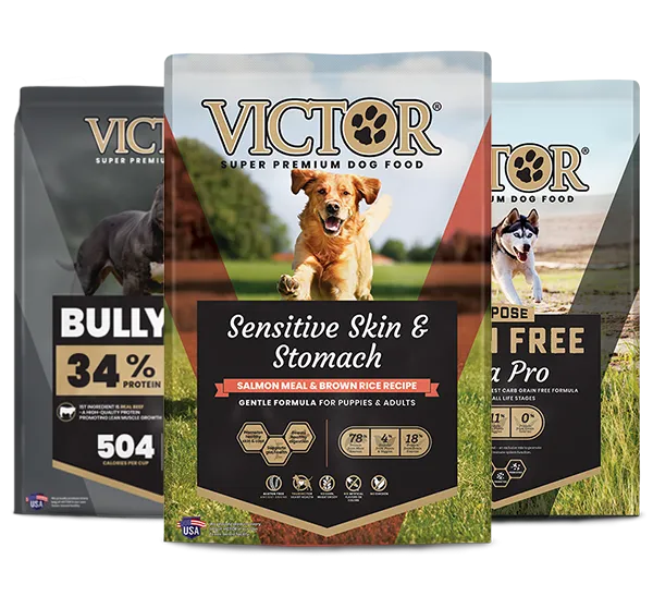 Group of three Victor Grain Free dog food bags