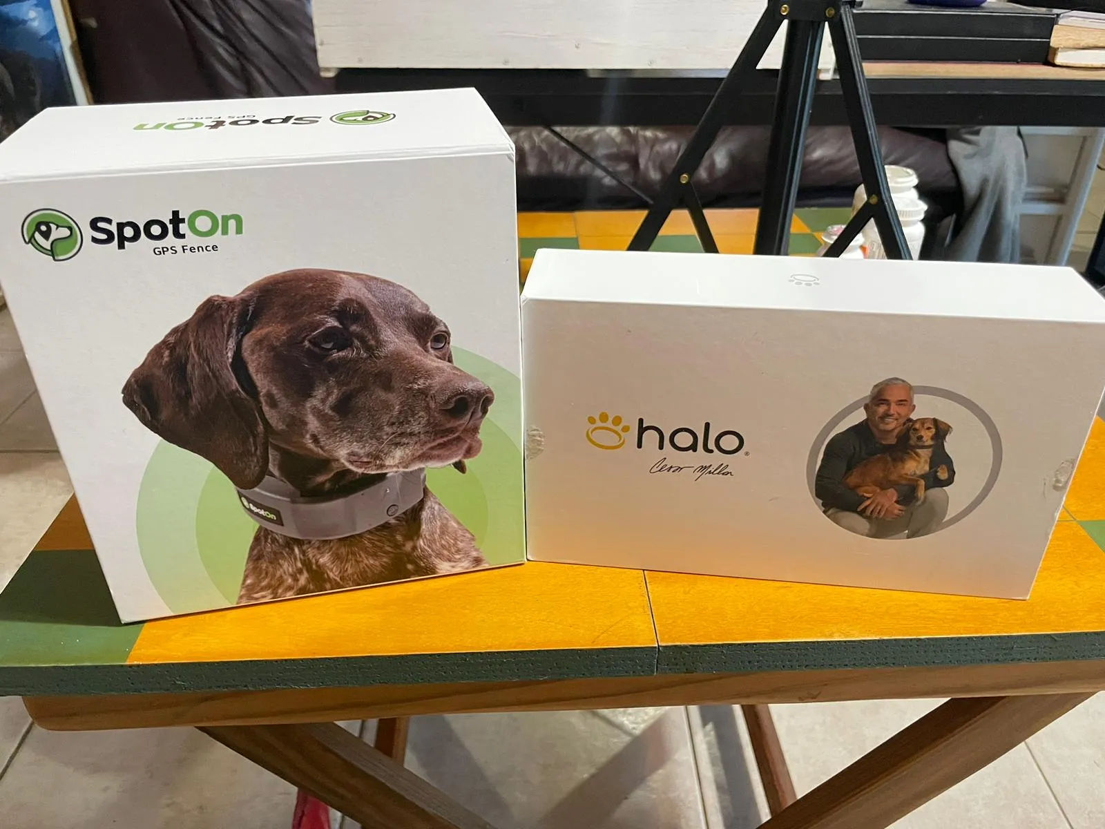 halo and spoton gps collar