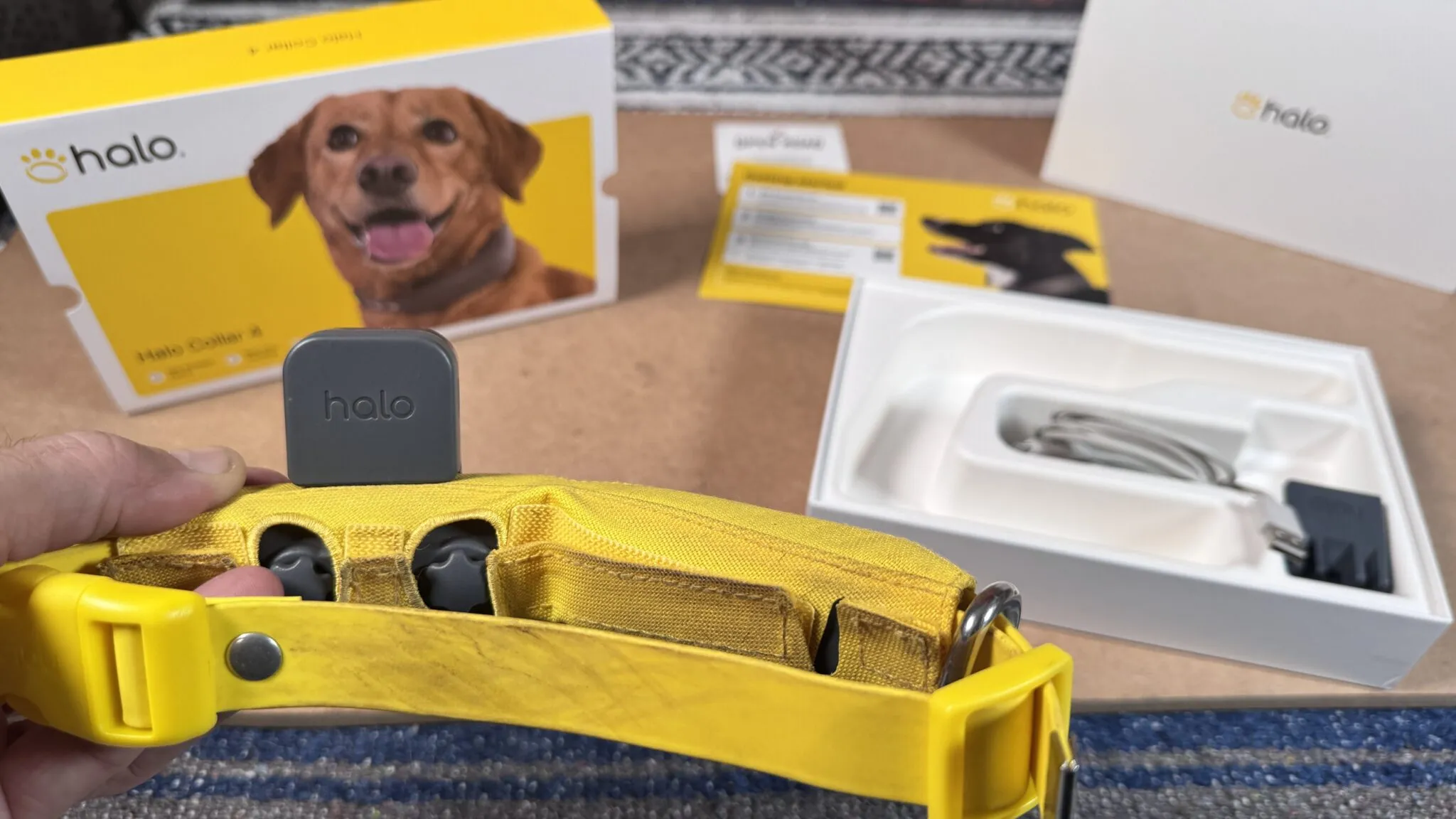 halo collar electric probes