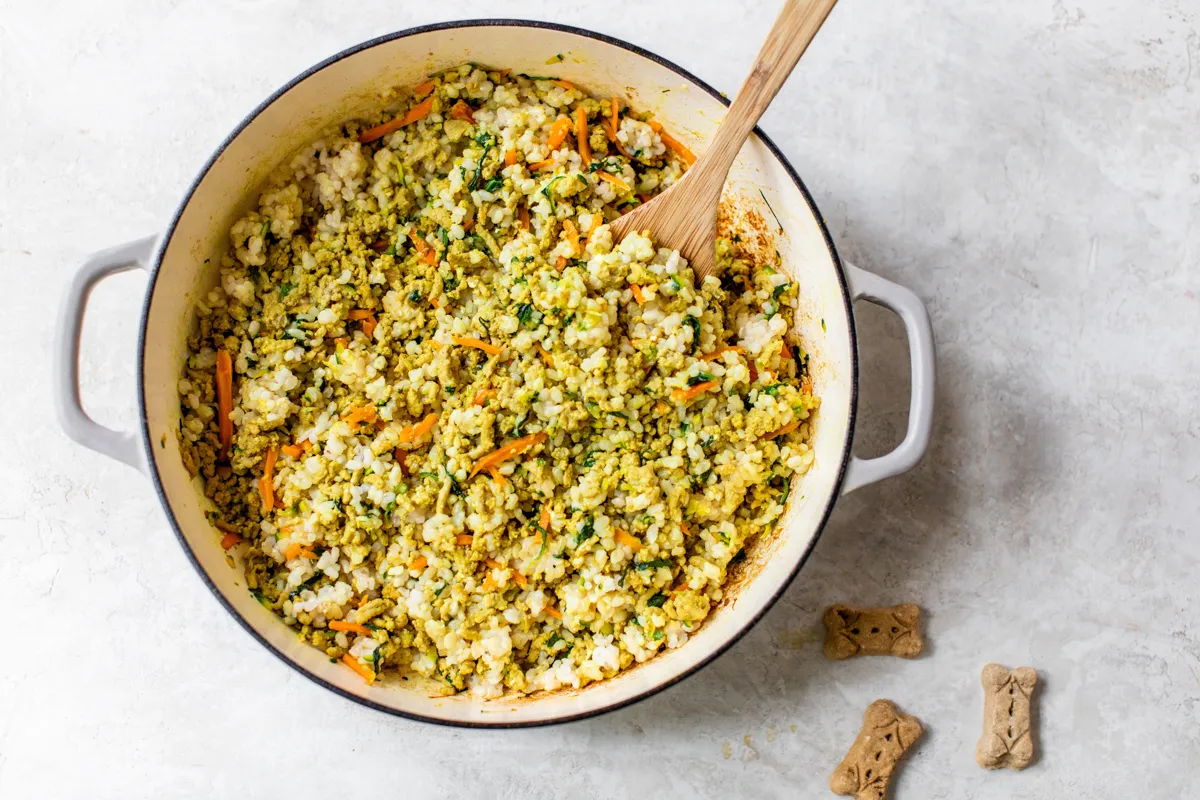 Homemade dog food with egg mixed in