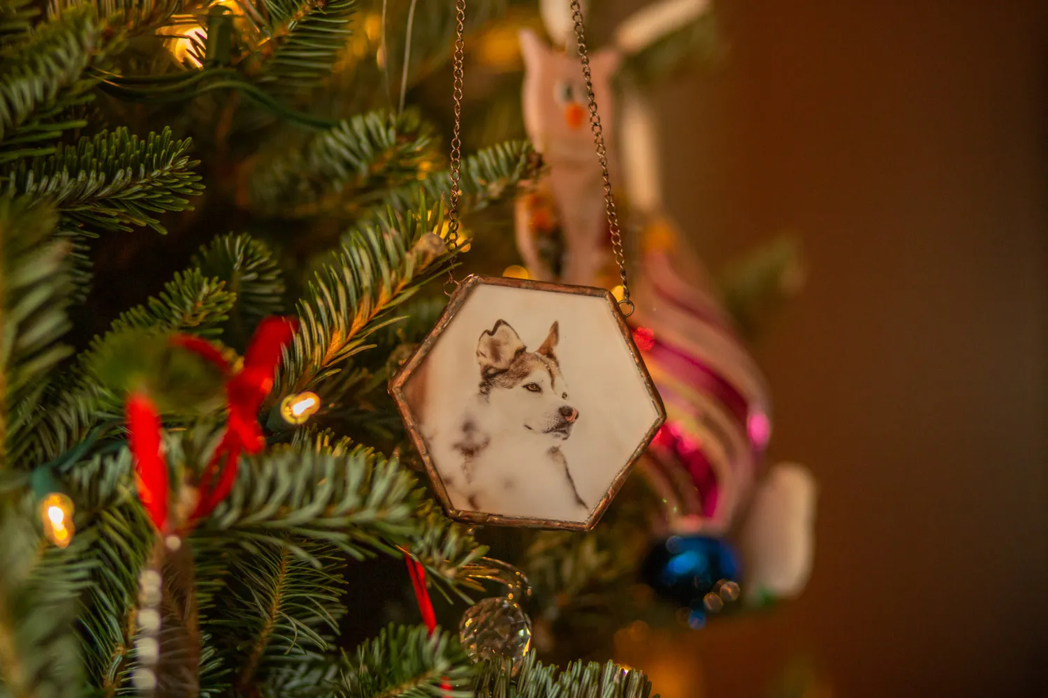 Honoring a lost pet at Christmas