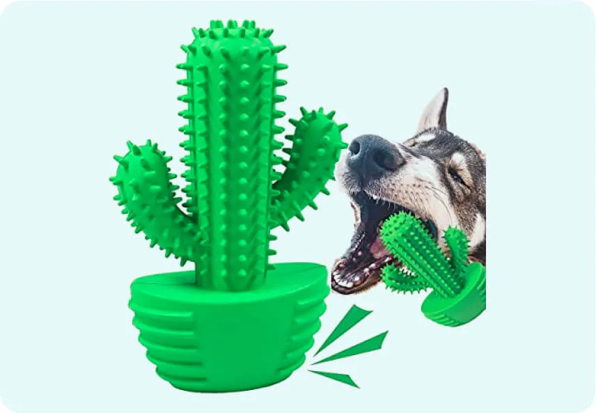 Image of a dog chewing on a toothbrush stick.