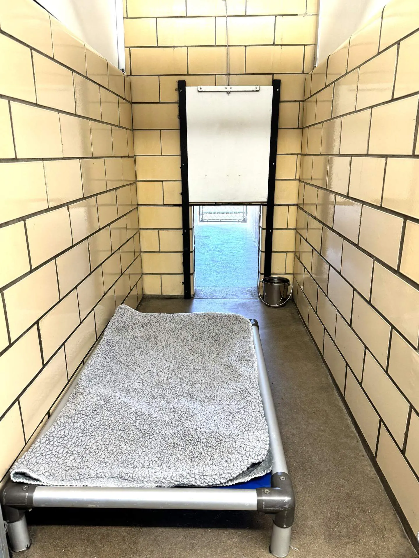 Indoor/outdoor dog run with extended outdoor space