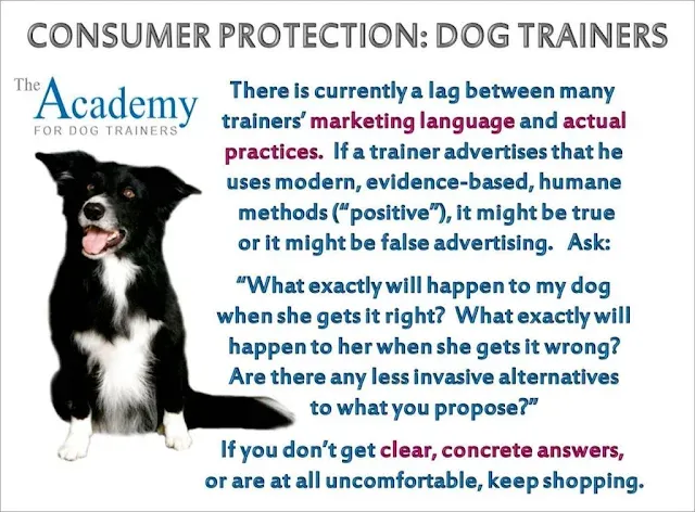 Infographic illustrating three critical questions for dog owners to ask potential trainers.