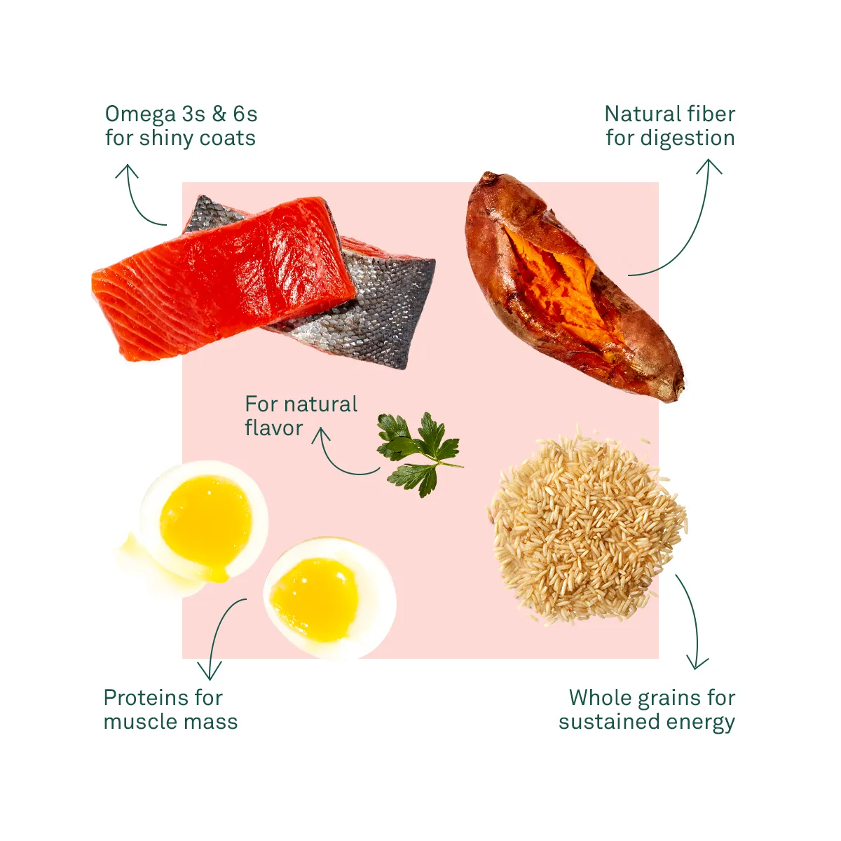 Jinx organic chicken and salmon kibble bags with superfood ingredients