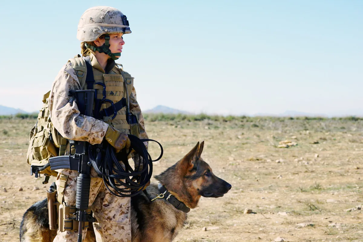Kate Mara as Megan Leavey and her K9 partner Rex, a loyal bomb-sniffing dog, looking out together in a scene.