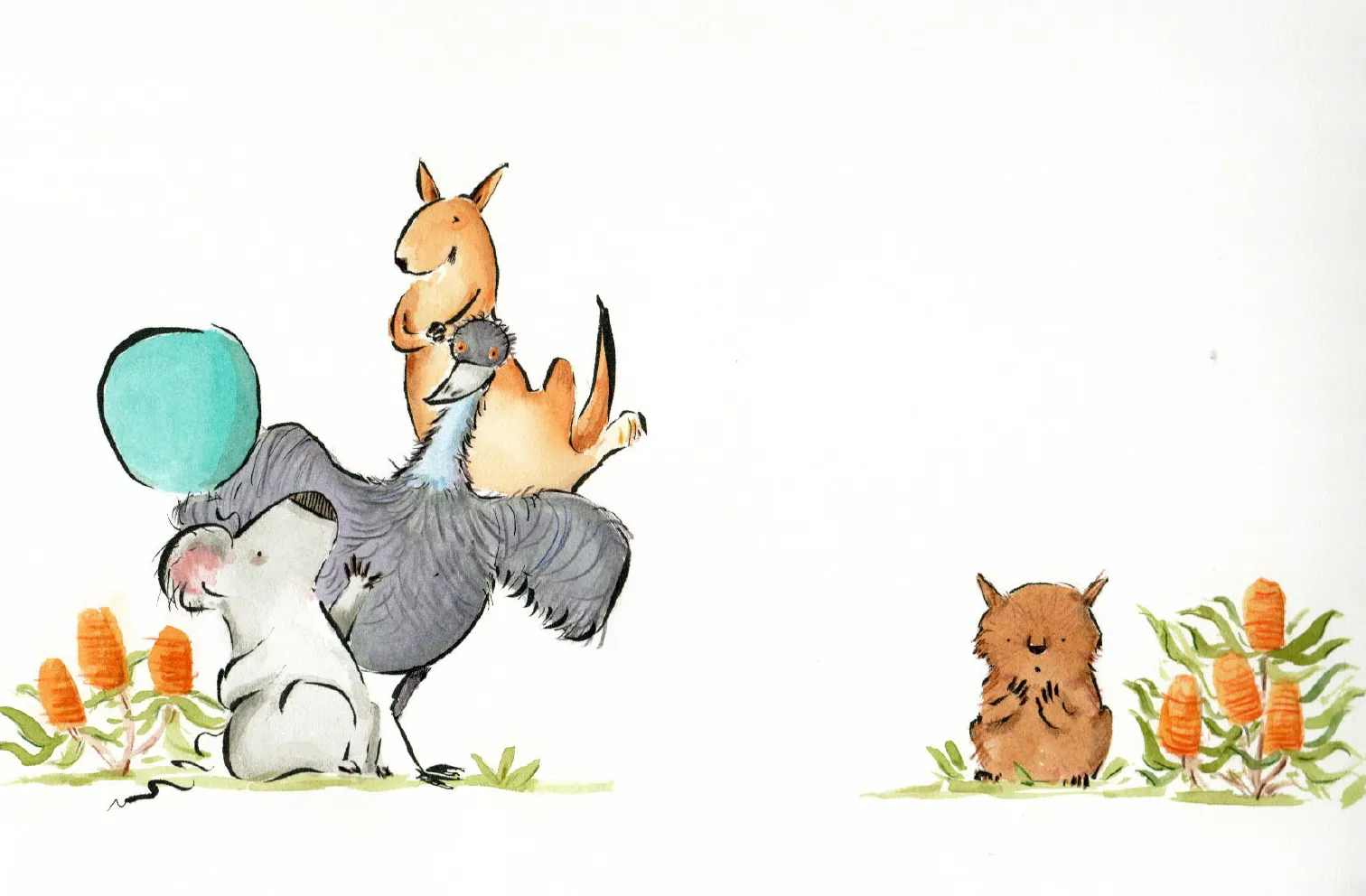 Koala illustration 2 by Monica Carnesi