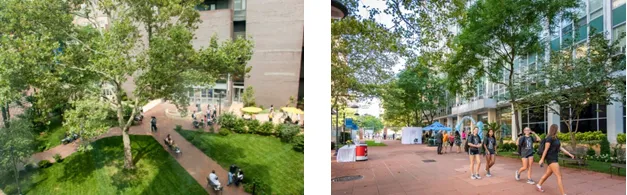 LIU Brooklyn Campus
