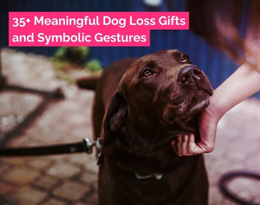 Meaningful Dog Loss Gifts to Express Sympathy and Love