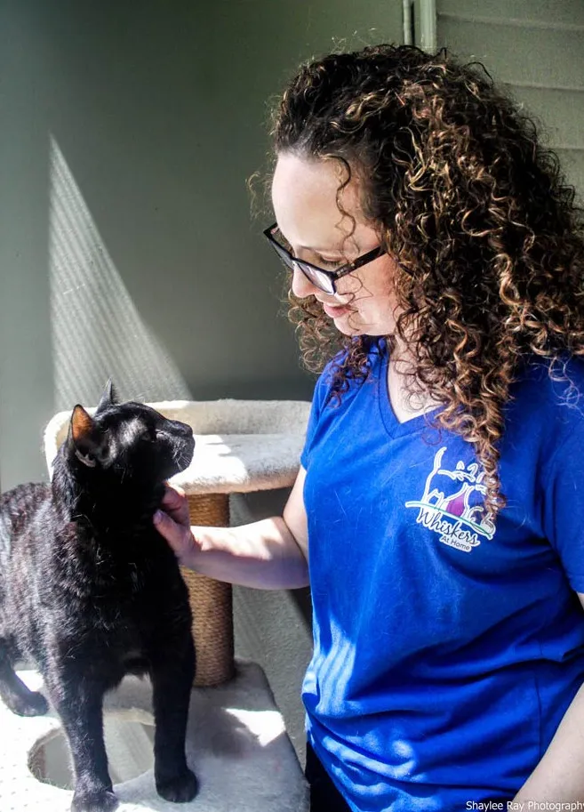 Mercer Island Cat Sitter Expert