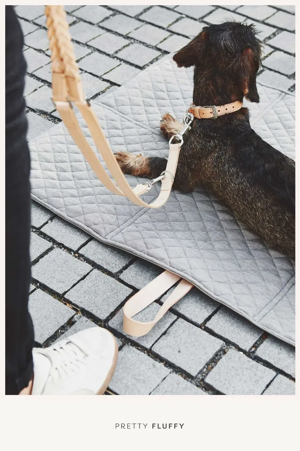 Mia Cara | Bergamo Long Lead |Editor