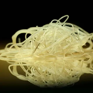 Microscopic heartworms
