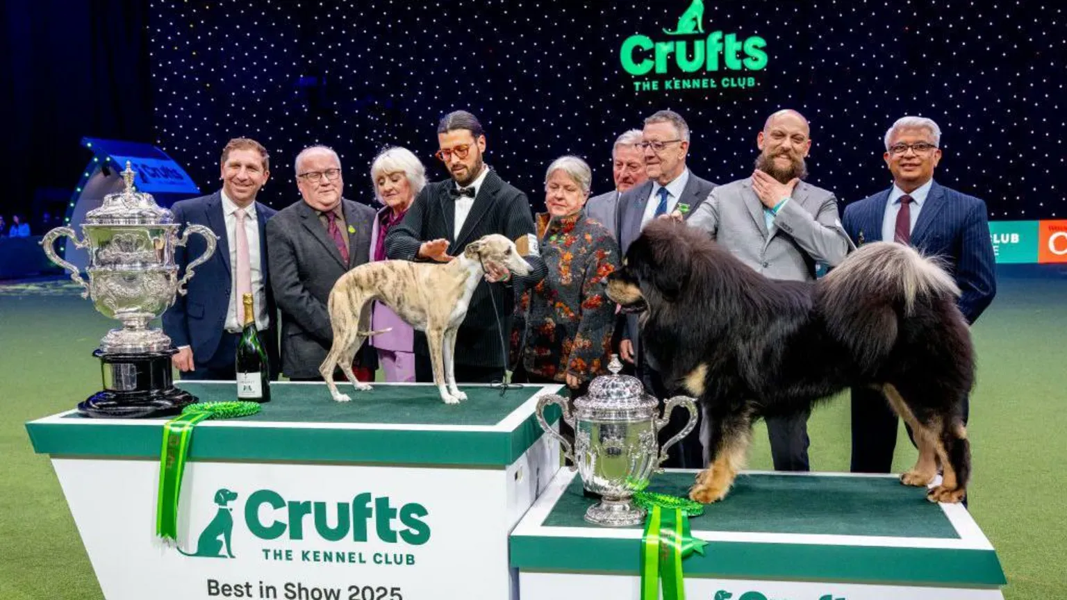 Miuccia and Viking facing each other on the podiums