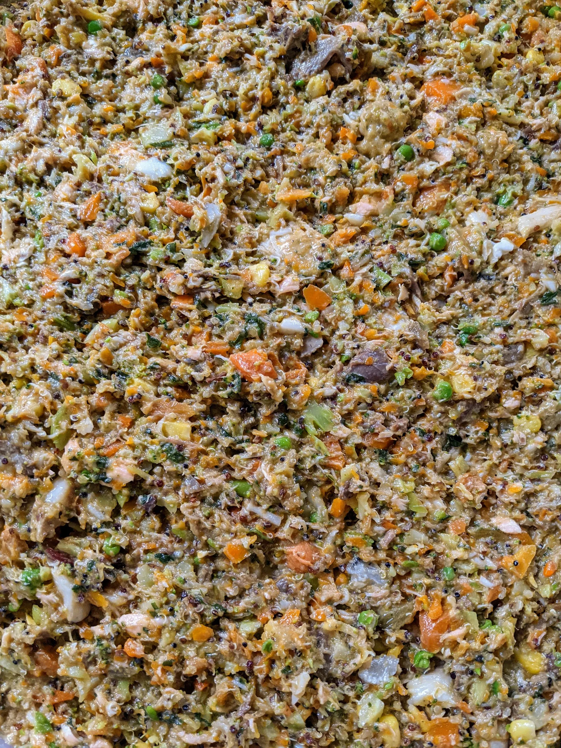 Mixed dog food looking appetizing and nutritious