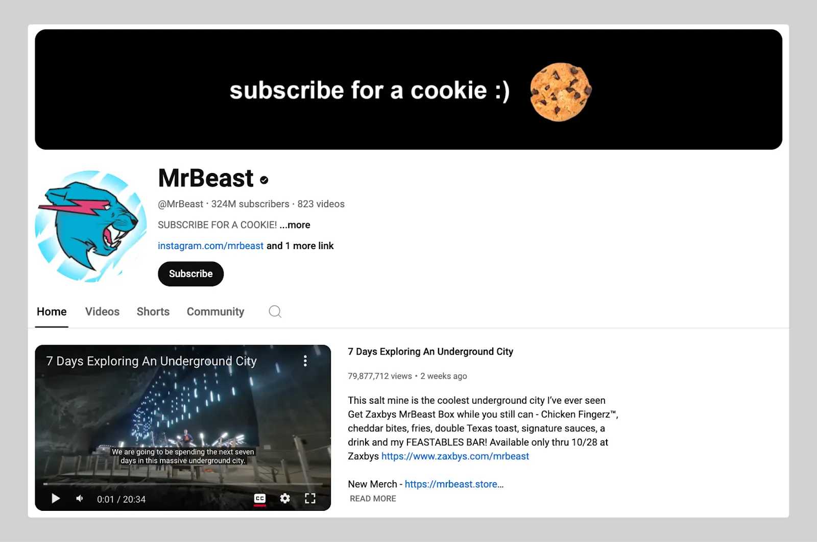 MrBeast, a highly successful YouTuber known for his extreme challenges and philanthropy.