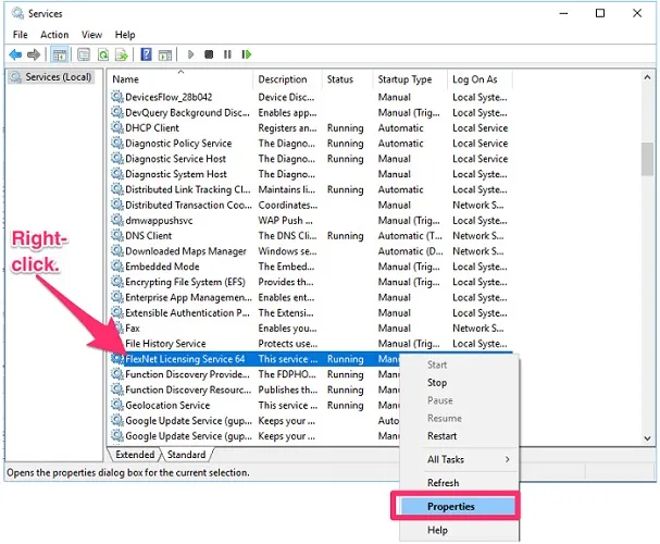 Open FlexNet Licensing Service 64 Properties