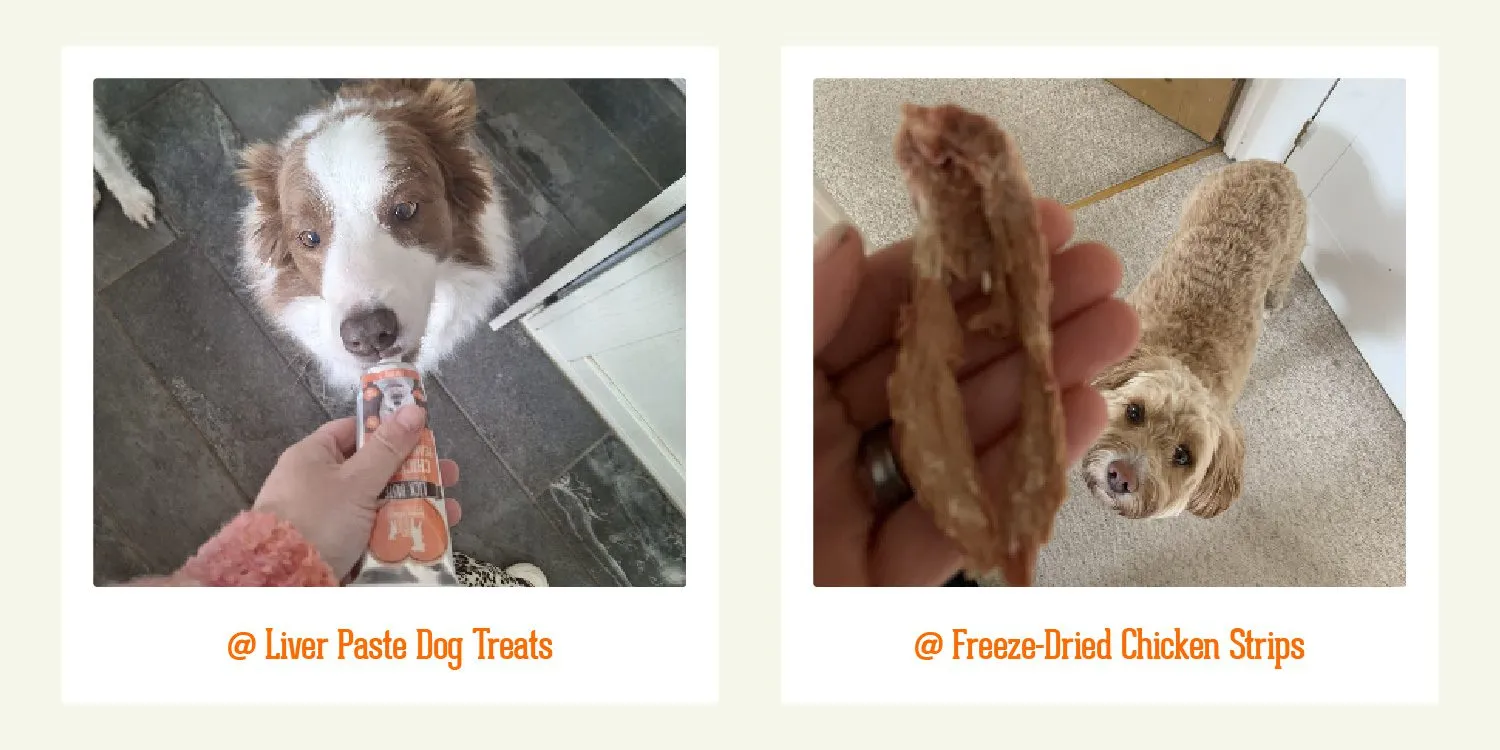 Packnpride product lineup showcasing natural pet treats