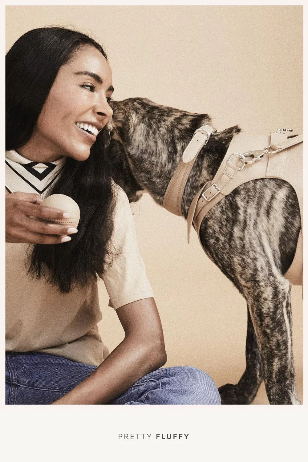 Pagerie Designer Dog Harness - Featured on Pretty Fluffy