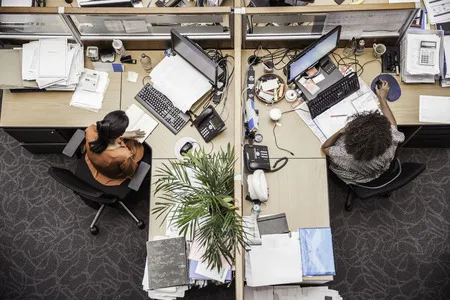 People working in cubicles