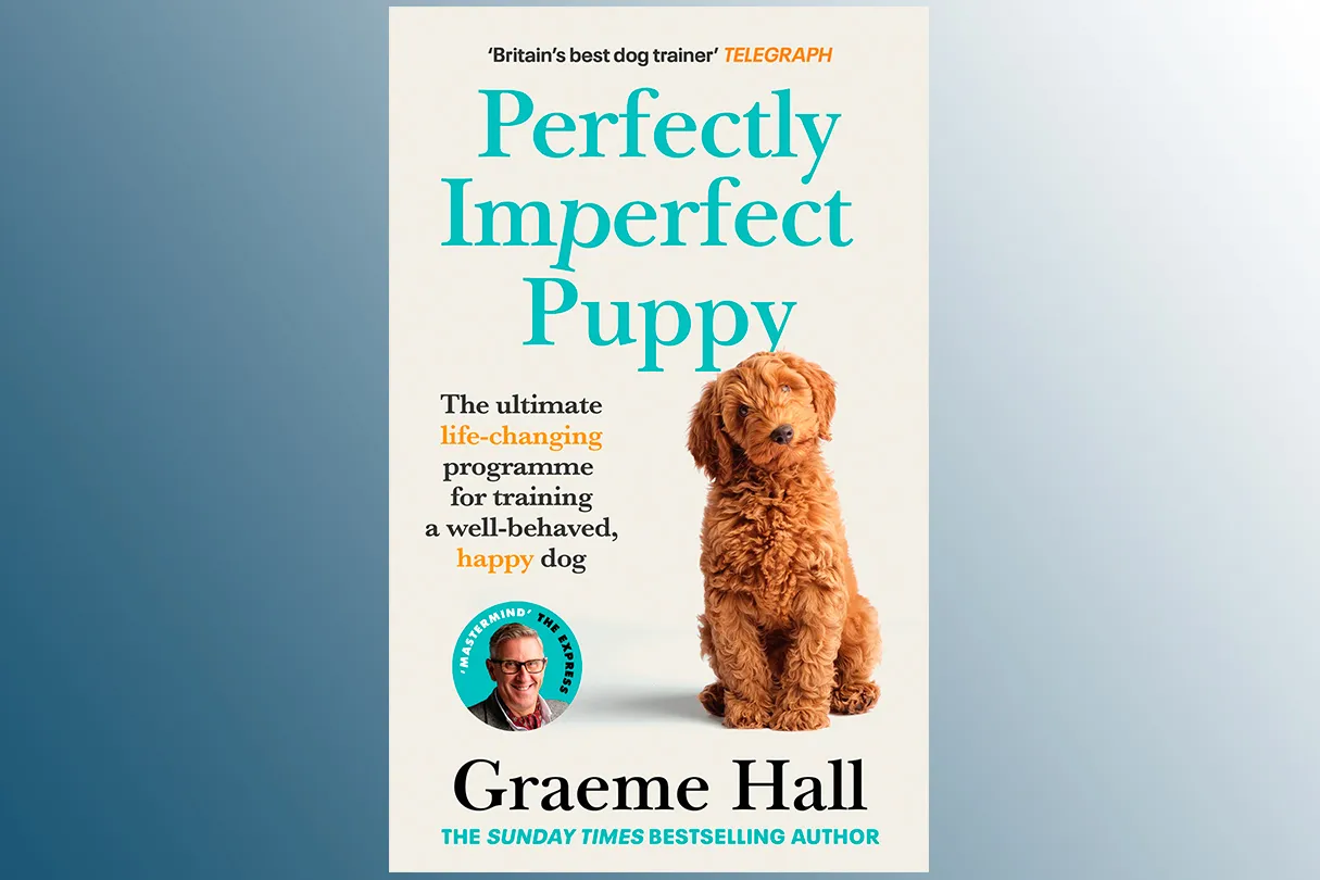 Perfectly Imperfect Puppy on a blue background