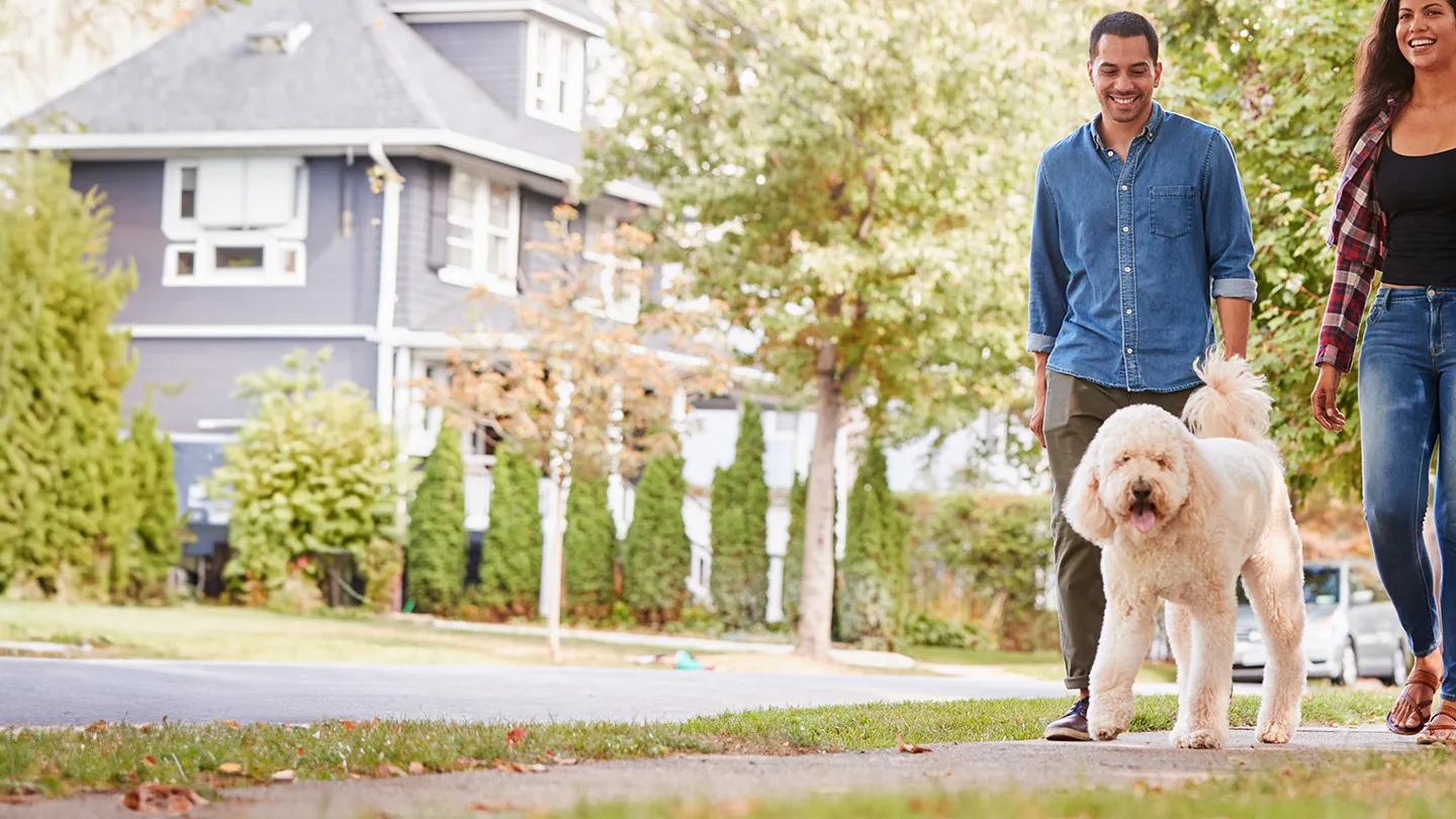 Pet Care Center homepage showcasing veterinary services for dogs and cats