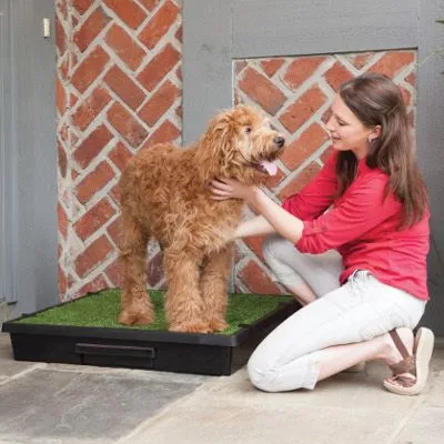 Pet Loo indoor potty