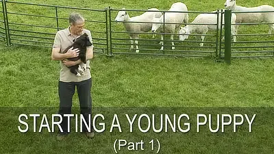 Photo of Andy holding puppy Ezra before starting him on working sheep