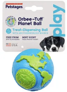 Planet Dog Orbee bouncy ball for teething Golden puppies