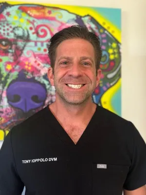 Portrait of Dr. Tony Ioppolo, experienced veterinarian