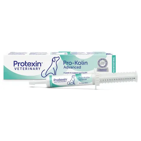 Pro-Kolin Advanced pack for dogs