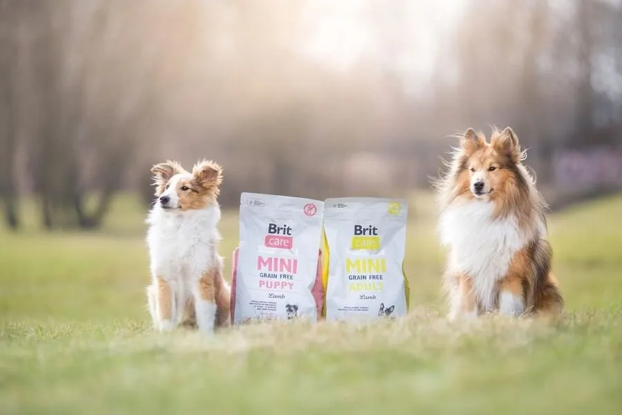 Product packaging highlighting grain-free and hypoallergenic features
