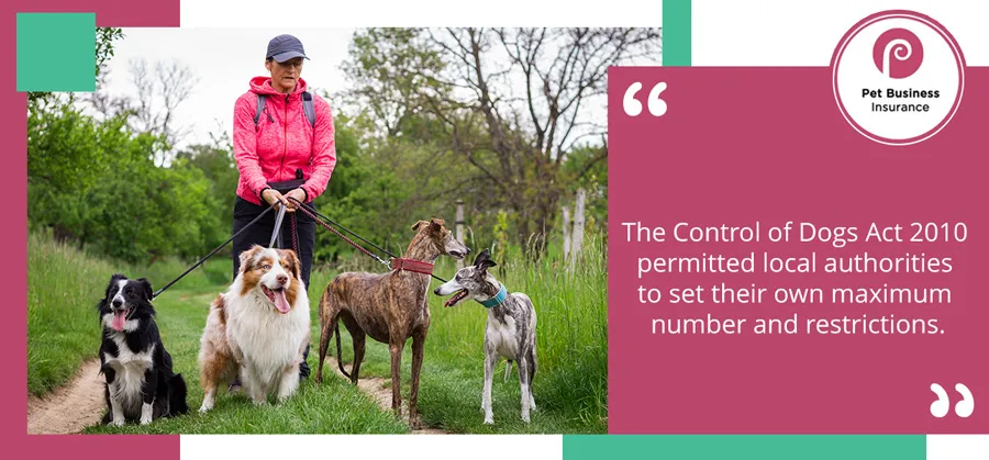 Professional dog walker walking four dogs in a park