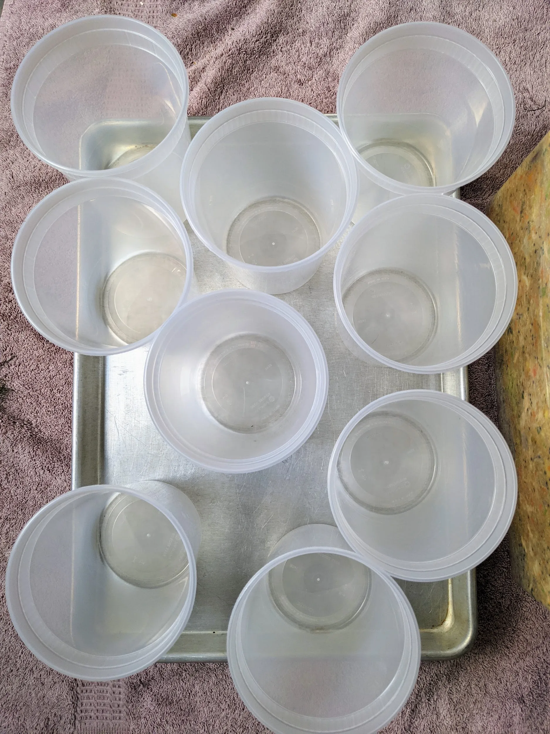 Quart containers lined up for efficient filling