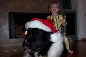 Quinn and Zambi enjoying each other's company