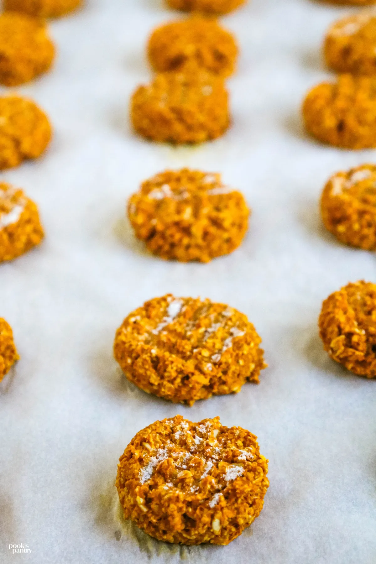 Scooped pumpkin dog treats on a sheet pan.